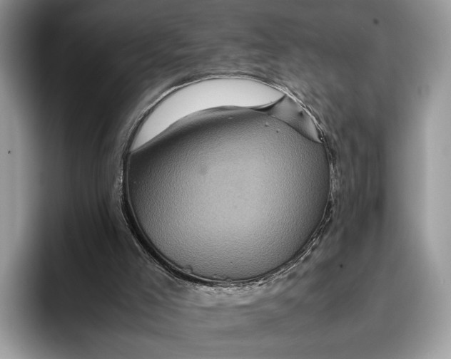 X0000095940005200802011051