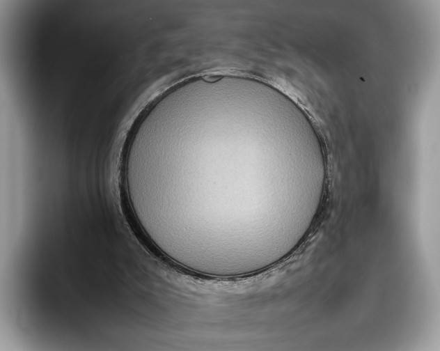 X0000095940007200802011051