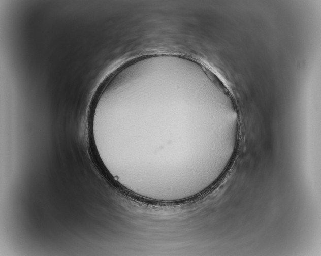 X0000095940008200802011051