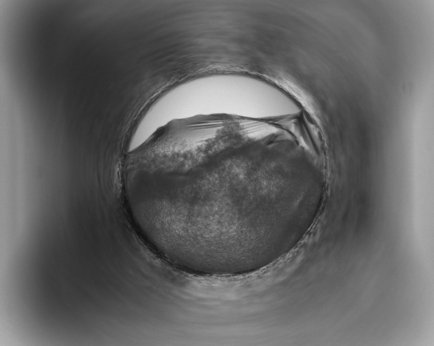 X0000095940009200802011051