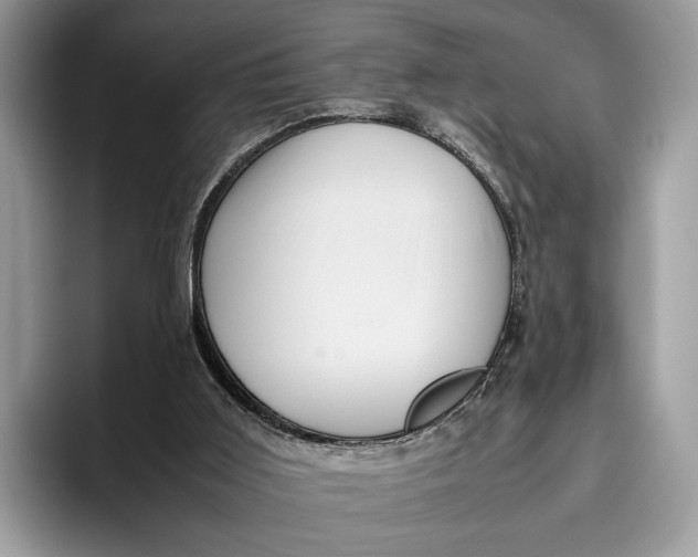 X0000095940011200802011051