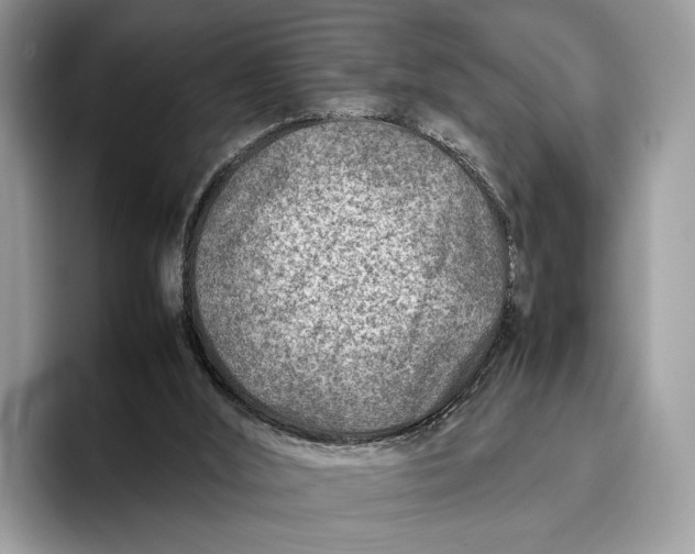 X0000095940012200802011051