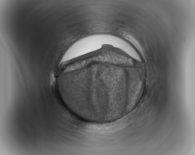 X0000095940017200802011050