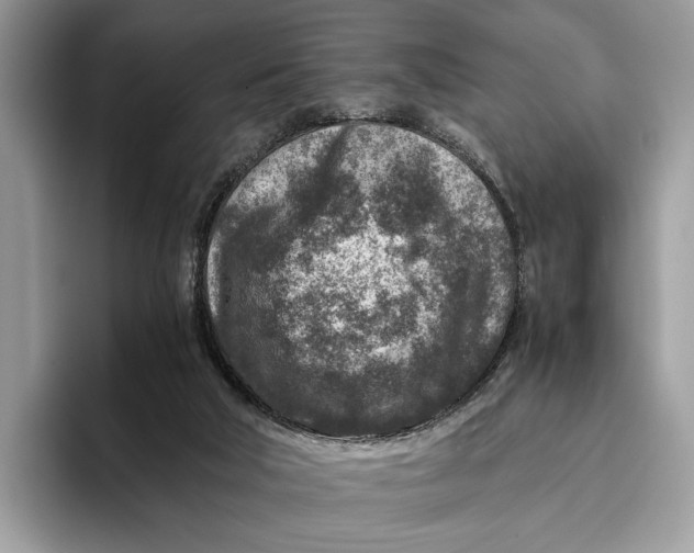 X0000095940018200802011050