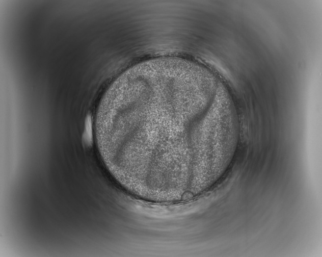 X0000095940022200802011050