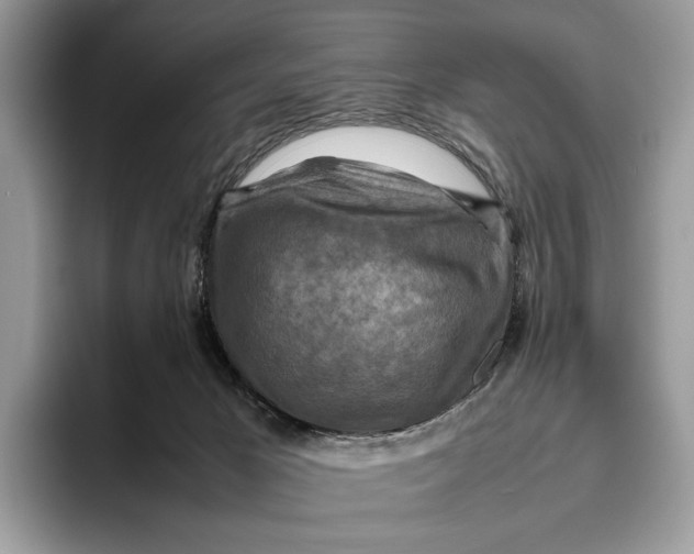 X0000095940029200802011050