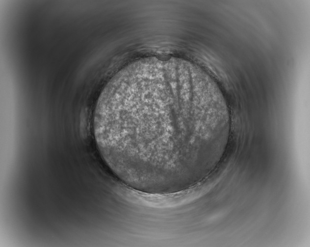 X0000095940030200802011050