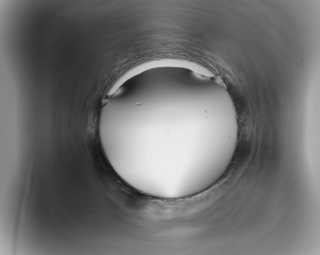 X0000095940033200802011050