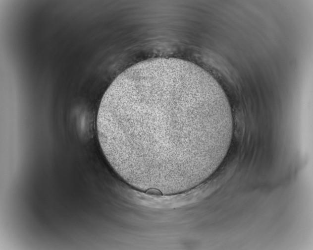 X0000095940034200802011050