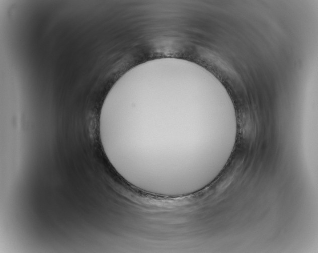 X0000095940036200802011050