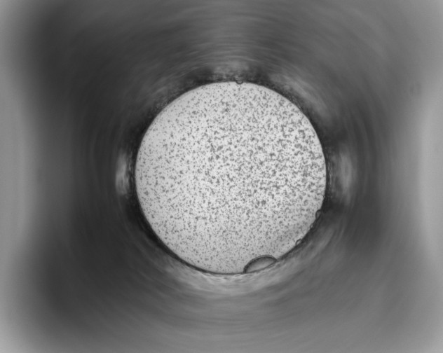 X0000095940038200802011050