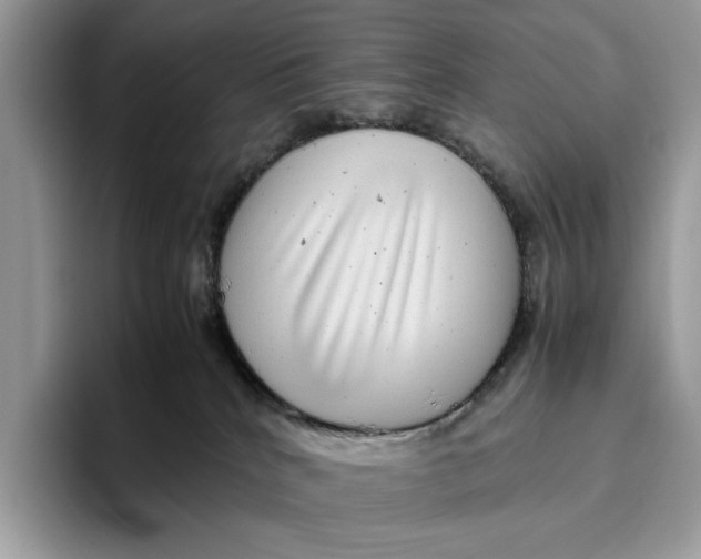 X0000095940040200802011050