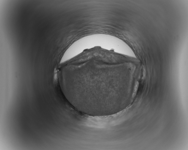 X0000095940041200802011050