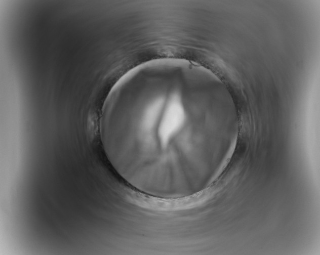 X0000095940043200802011050