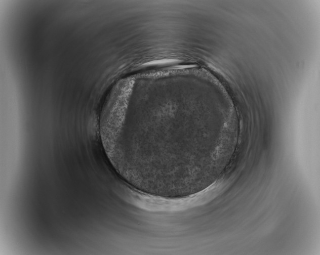 X0000095940048200802011050