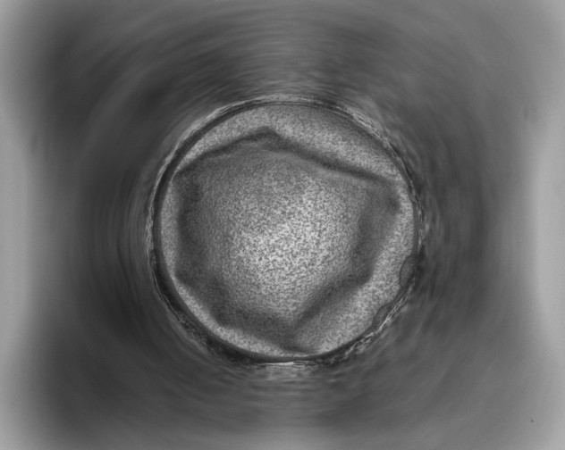 X0000095940050200802011049