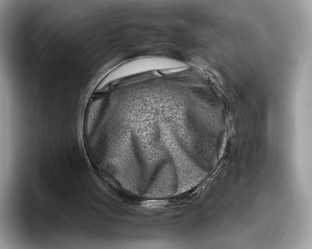 X0000095940051200802011049