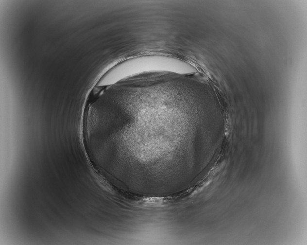 X0000095940052200802011049