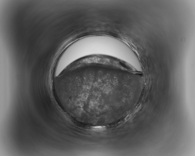 X0000095940053200802011050