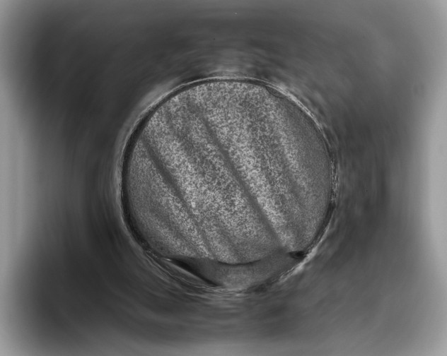 X0000095940055200802011050