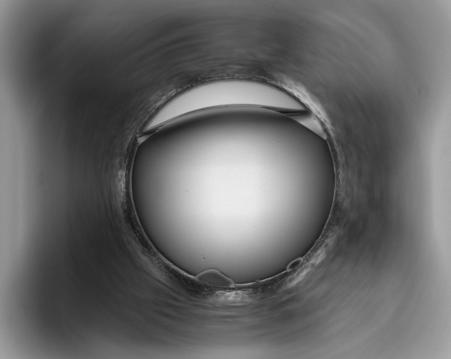 X0000095940057200802011050