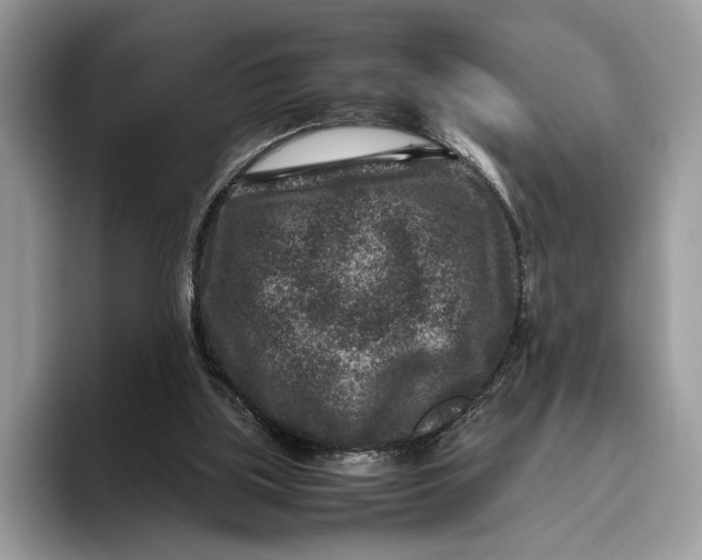 X0000095940059200802011050