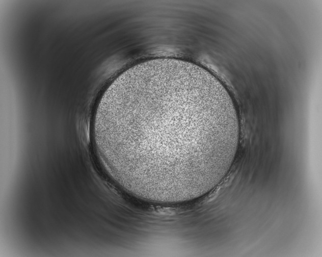 X0000095940062200802011050