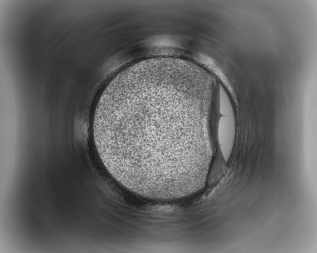 X0000095940063200802011050