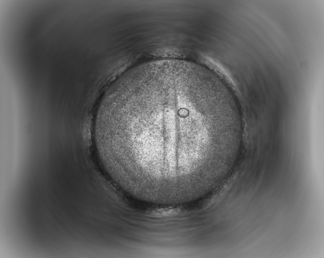 X0000095940065200802011050