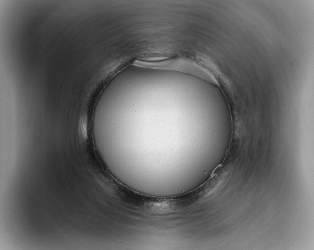 X0000095940068200802011050