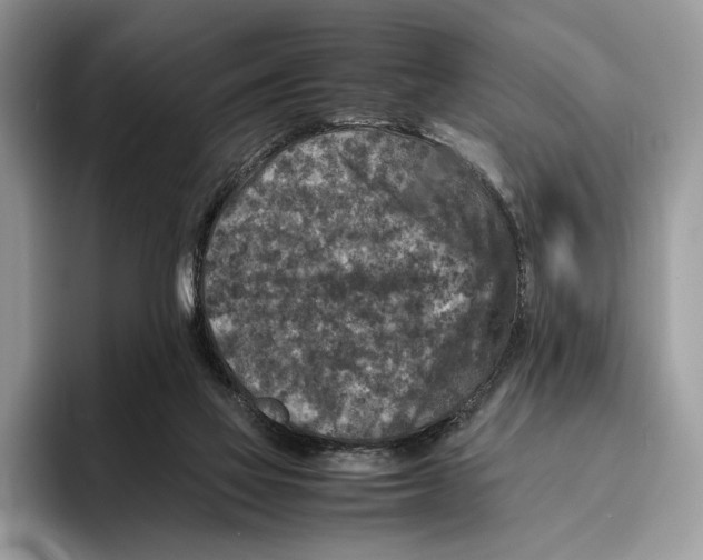 X0000095940069200802011050