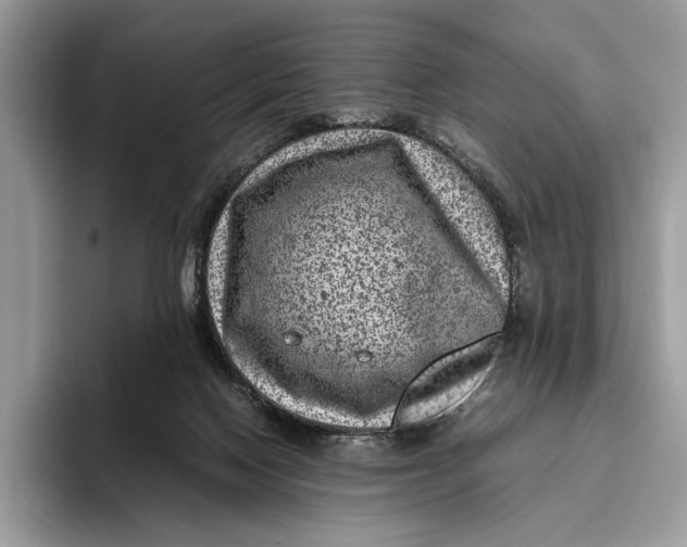 X0000095940074200802011050