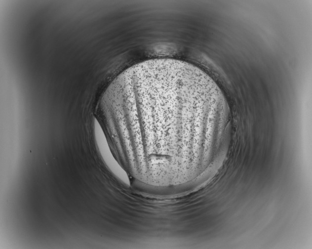 X0000095940075200802011050