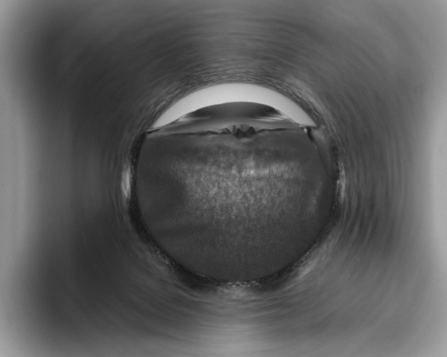 X0000095940076200802011050