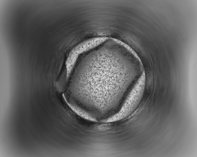 X0000095940078200802011050