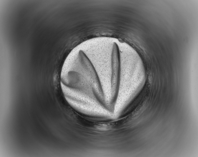 X0000095940079200802011050