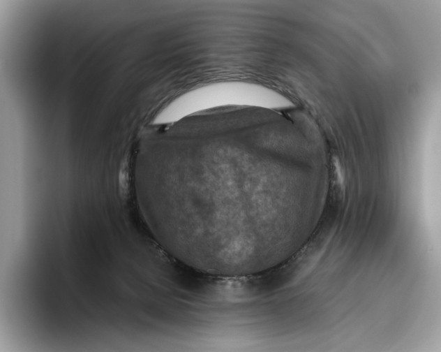 X0000095940080200802011050