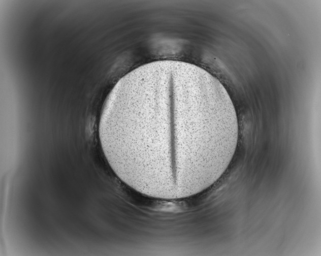 X0000095940083200802011050