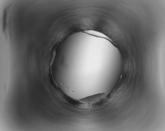 X0000095940084200802011050