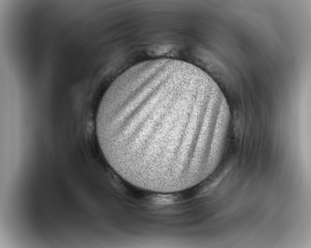 X0000095940085200802011050