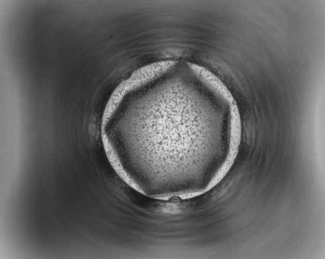 X0000095940091200802011050