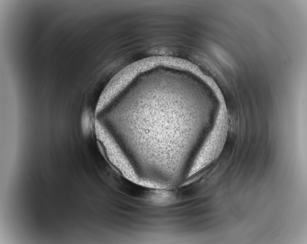 X0000095940095200802011050