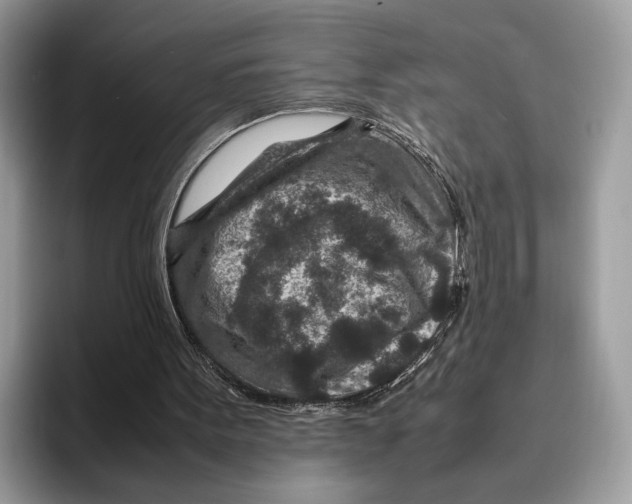 X0000095940099200802011049