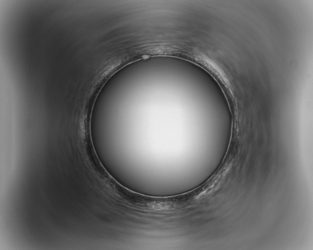 X0000095940105200802011049