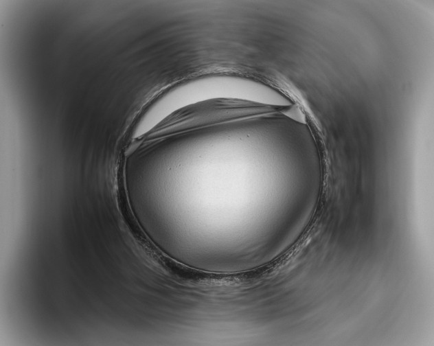 X0000095940106200802011049