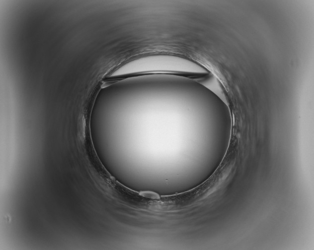 X0000095940109200802011049