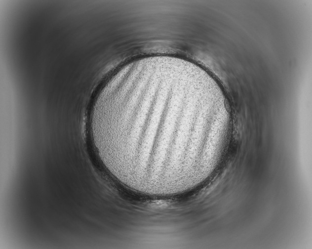 X0000095940111200802011049