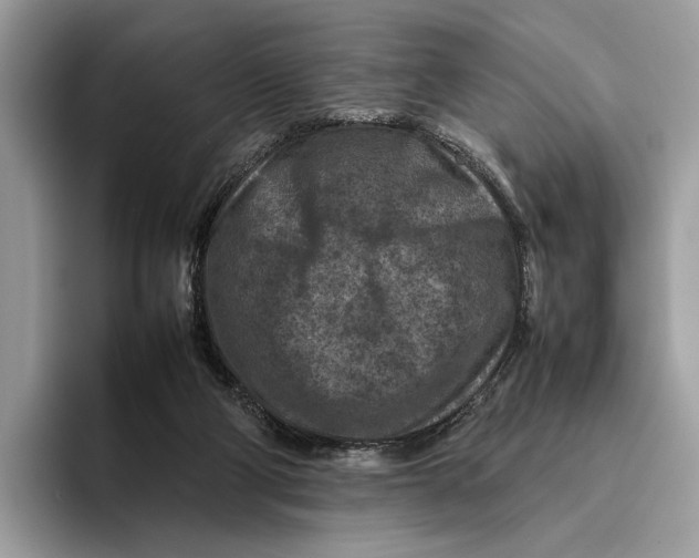 X0000095940114200802011049