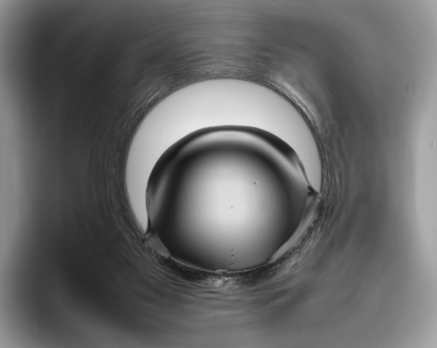 X0000095940117200802011049