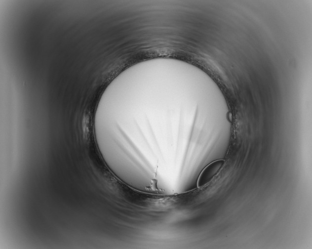 X0000095940122200802011049